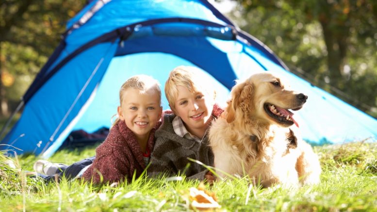 How To Take A Camping Trip With Your Pet