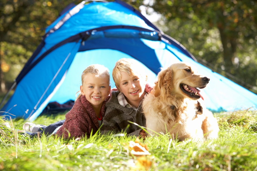 How To Take A Camping Trip With Your Pet