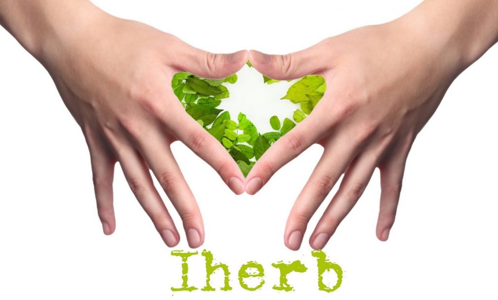 How To Find The Best Promo Codes For Discounted Protein Supplements