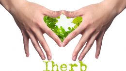 How To Find The Best Promo Codes For Discounted Protein Supplements