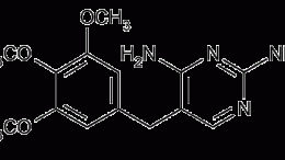 What If A Patient Forget To Take Trimethoprim?